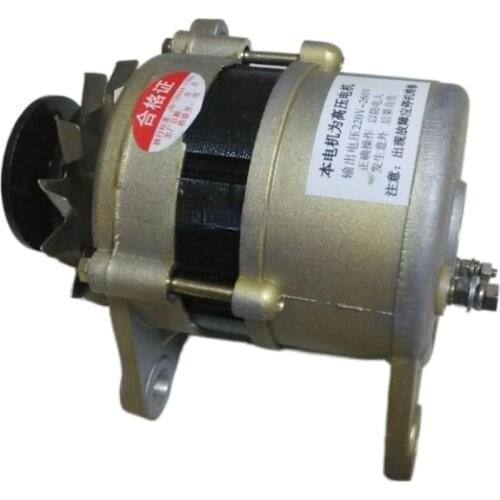 900-6000rmp 220v High Power Small Generator 800W Permanent Magnet Brushless Constant Voltage Household Pure Copper Wire Core