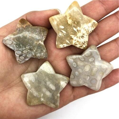 Wholesale 1pc Natural Coral Fossil Chrysanthemum Stone Star Shaped Crystals Healing Reiki Natural Quartz Crystals
