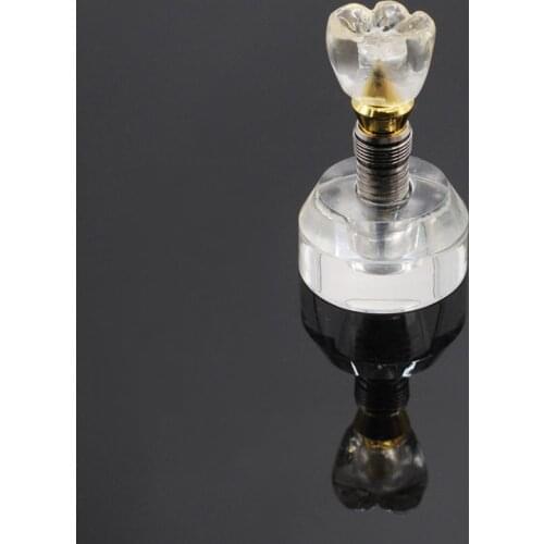 Dental Implant Model Single Clear Teeth stand implant crown 3 parts Tooth Detachable 1Pcs
