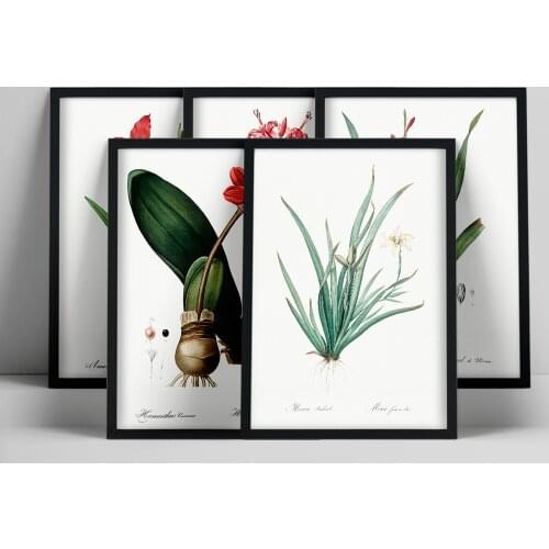 Canvas Paintng Vintage Wild Plant Poster Botanical Flower Study Living Room Hanging Painting Peony Picture Aesthetic Room Decor