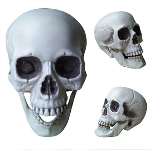 All Size Halloween Skull Head Skeleton Decor Toy Coffee Bars Home Movie Ornament Party Haunted House Festival Toys Decors