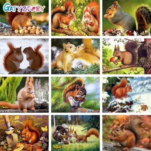 GATYZTORY Frame Squirrel DIY Painting By Numbers On Canvas Oil Pictures For Adults Acrylic Animal Coloring By Number Home Decora