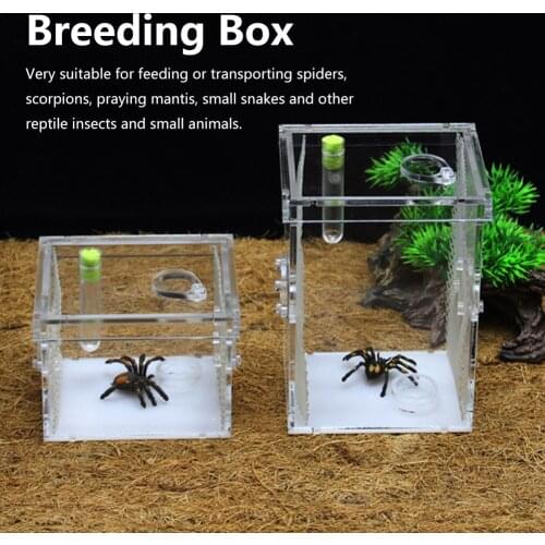 Pet Reptile Breeding Box Transparent Insect Breeding Box Acrylic Breeding Box Suitable For Small Reptile Pets