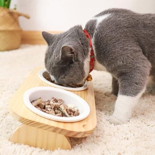 Double Single Cat Feeder Drinking Bowls Dogs Cats Pet Food Bowls Comedero Perro Miska Dla Psa Gamelle Chien Chat Voerbak Hond