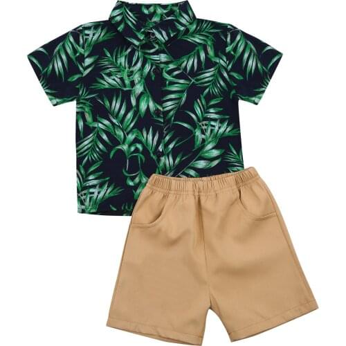 New Little Boy Leaf Print Set, Short Sleeve Shirt Tops and Short Pants 2-piece Suits