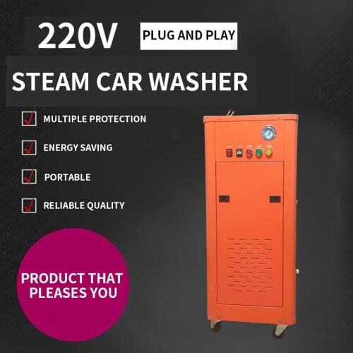 Desktop Commercial Steam Car Wash Machine High Pressure High Temperature Washer Machine 220V Mobile Water Vapor Cleaning Machine