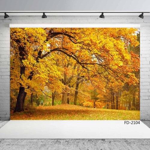 Autumn Forest Tree Fallen Leaves Vinyl Photo Background Scenic Computer Printed Photography Backdrops Photocall for Photo Studio