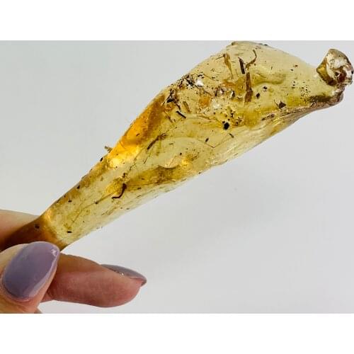 Natural Amber Beeswax Raw Stone Insect Specimens Teaching Material Collection Gift