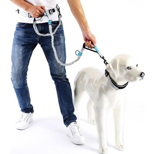 Pet Dog Leash Pet Walking Running Jogging Lead for Chihuahua Pug Pet Puppy Dog Traction Rope Pet Dog Training Accessories