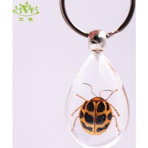 IVR Keyrings