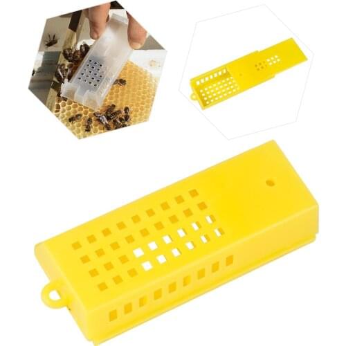 Bee Queen Cages King Of Prison Cage Bee Hive Tools For Beekeeping Equipment Beekeeper Suppiler