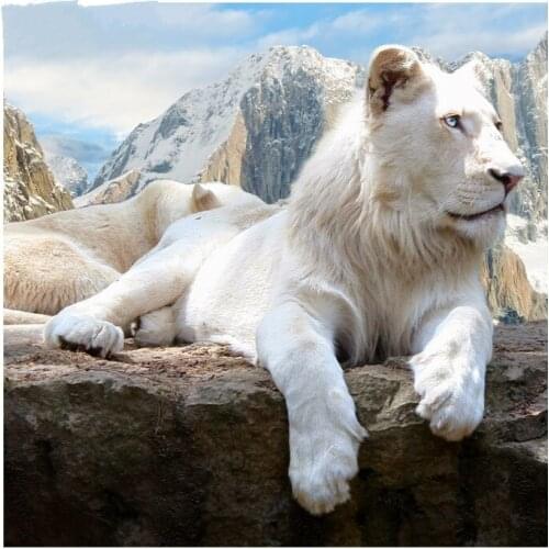 5D DIY Diamond Painting Lion Crystal Diamond Painting round Cross Stitch White Lion In Mountains Needlework Home Decorative
