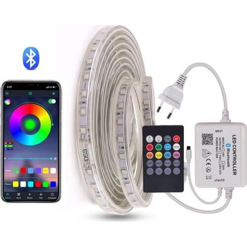 RGB LED Strip Light with Bluetooth Music Control Remote SMD5050 60Leds/m Flexible Tape Ribbon Waterproof Rope String 110V 220V