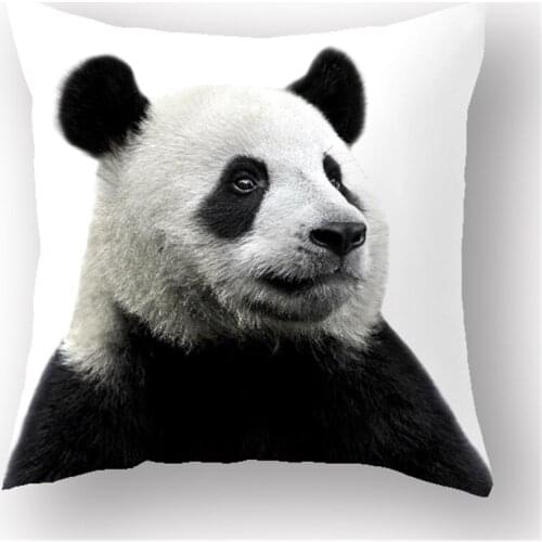 For learning on of act the role tasted DIY images polyester printed Cushions