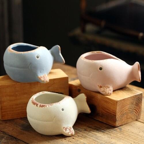Cute Whale Cartoon Ceramics Creative And Fleshy Flowerpot Simple Medium Combined Desktop Green Plant Small Basin