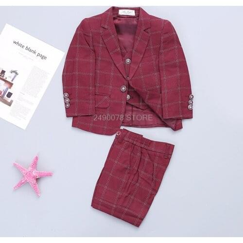 Boys Suit for Weddings Boys Formal Birthday Suit Enfant Garcon Mariage Terno Infantil Disfraz Infantil 3pcs Costume