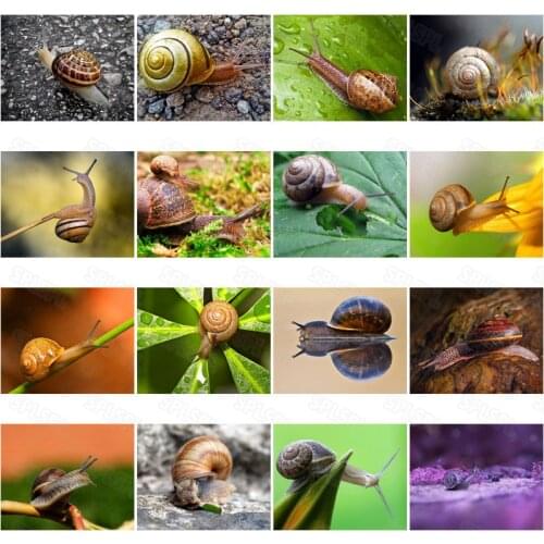 Diy Diamond Painting Small Animals Mini Snail Personality Decorative Painting Hanging Painting Modern Fashion Wall Mural