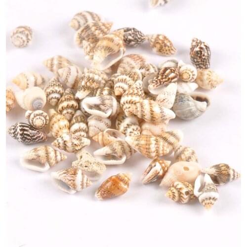 100pcs Natural Leopard Print Spiral Seashells For DIY Home Decor Scrapbook Crafts Shells Handmade Ornaments 13-16mm tr0057x