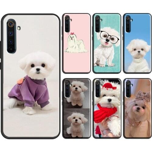 Maltese Dog Puppy Cute For OnePlus 9 Pro 8 7T 8T Nord Case For OPPO Realme 8 Pro X2 6 7 Pro GT Neo C3 C21 Cover