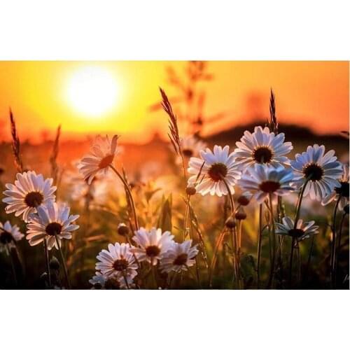 Diy Diamond Painting Diamond Mosaic Sunset flowers square full Diamond Embroidery Cross Stitch Needlework Home Decoration GH128