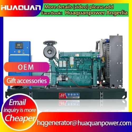 60hz 300kw china ricardo diesel generator