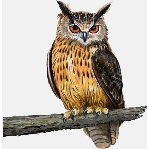 LLY-1304 Car Stickers Owl Standing on A Branch Decorative Decal PVC Auto Motorcycle Accessories Sunscreen Waterproof Decals