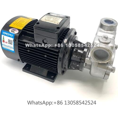 Gas-liquid Ozone Water Mixing Pump, 20QY Pond or Lake Purification Pump, Nano Bubble Generator, Waste Water Treatment Pump