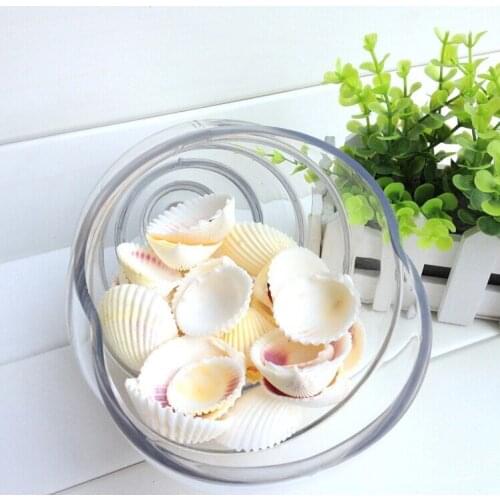 HappyKiss Conch DIY home decoration wall study white shell Wedding aquarium
