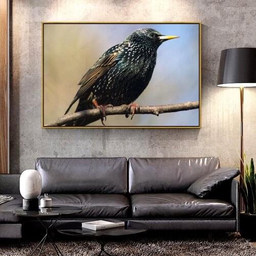 Artcozy Oil Canvas Painting starling bird For Home Decoration Wall Art