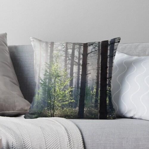 10.6.2017 Young Birch Throw Pillow Cushion Cover Polyester throw pillows case on sofa home living room car seat decor 45x45cm