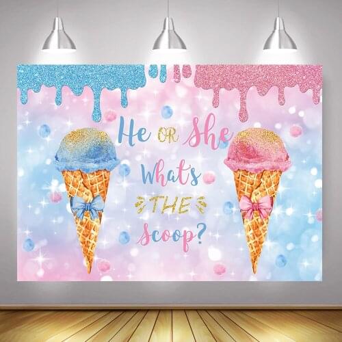 Ice Cream Gender Reveal Backdrop He or She Whats The Scoop Gender Surprise Party Decor Pink or Blue Photography Background