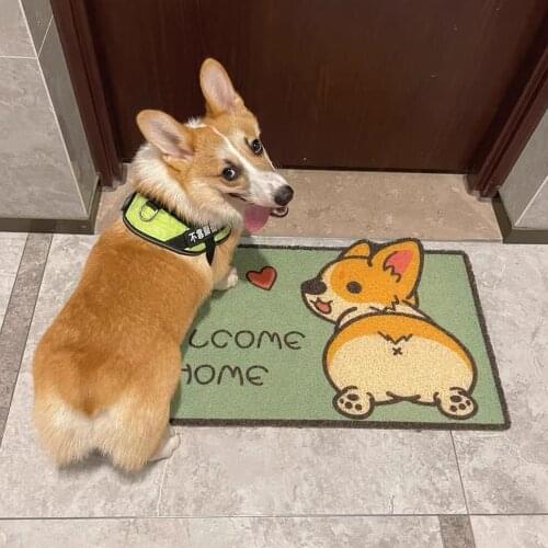 Indoor Doormat Indoor Outdoor 15"x23" Mat Waterproof Non Slip Washable Quickly Absorb Moisture and Resist Dirt Rugs for Entrance