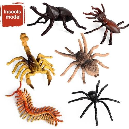 Insect Model Kids Boys Insect Toy Plastic Model Kids Science Edcational Gift