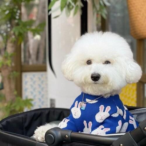 New Pet Super Cute Cartoon Small Dog Cat Clothes Are Cute And Cute Than Bear Dog Fighting Dog Hair Clothes