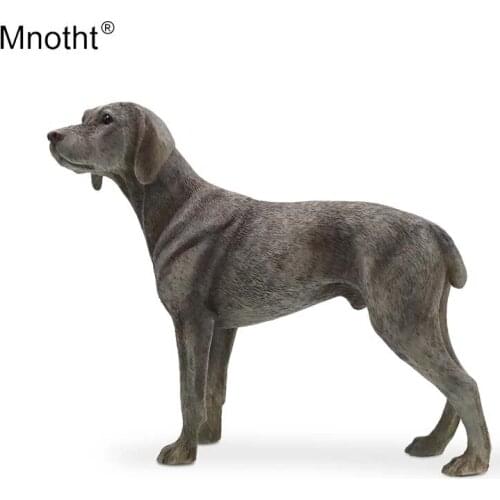Mnotht Weimaraner Model 1/6 Simulation Weimar Germany Dog Resin Animal Toy for Action Figure Scene Accessory Collection Gift m5
