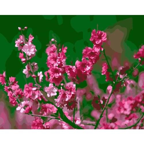 MaHuaf-i156 beautiful peach blossom flowers wall art Picture Painting By Numbers on canvas DIY gift paint by numbers Frameless