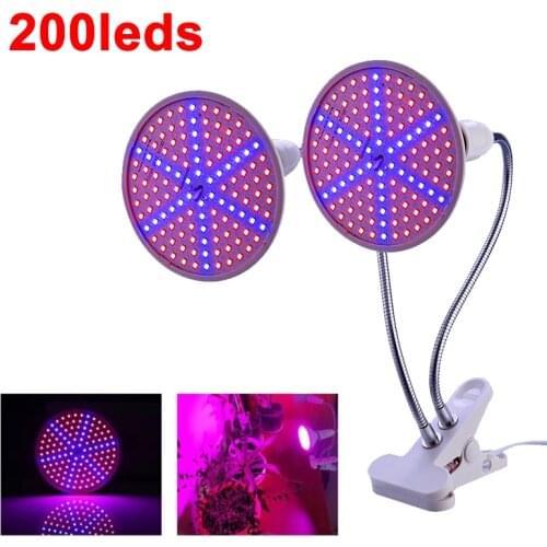 Bestup Professional Lighting