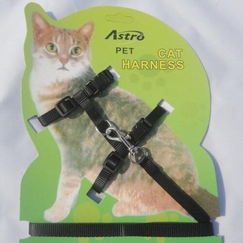 1.2m Nylon Adjustable Safety Pet Cat Kitten Belt Lead Leash Halter Collar Clasp Soft Traction Harness Rope Training Walking