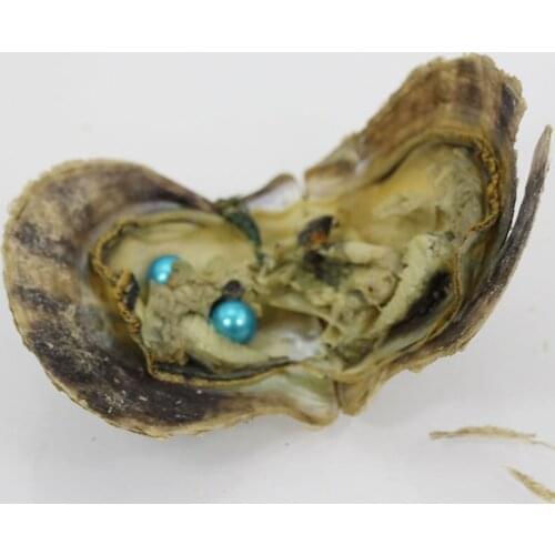 Bead 20pcs 7-8MM Baby Blue Round Akoya Twins Pearl in Oysters with Vacuum Package Two Pearls in Akoya 27 Colors Wish Gift FP361