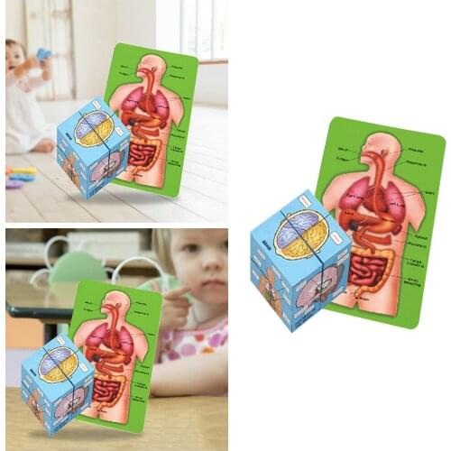 Human Anatomy Puzzle Cube Kids Children Science Learning Toys Puzzle Card