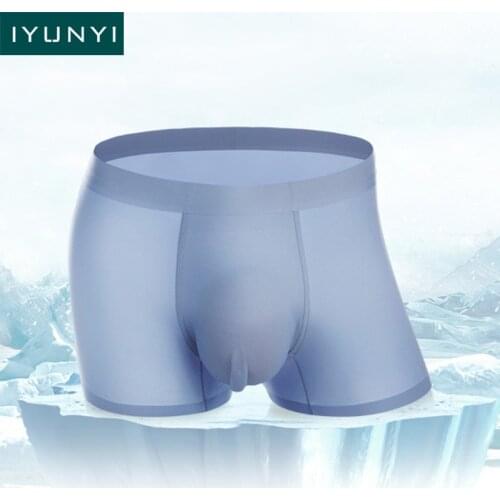 IYUNYI Seamless Underwear Ice Silk Boxers Men Solid Sexy U Convex Pouch Breathable Underwear Thin Cueca Calzoncillos