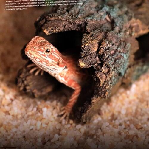 Simulation Bark Reptile Hiding Place Chameleon Habitat Lizard Shuttle Hole Pet Spider Resin Climbing Supplies