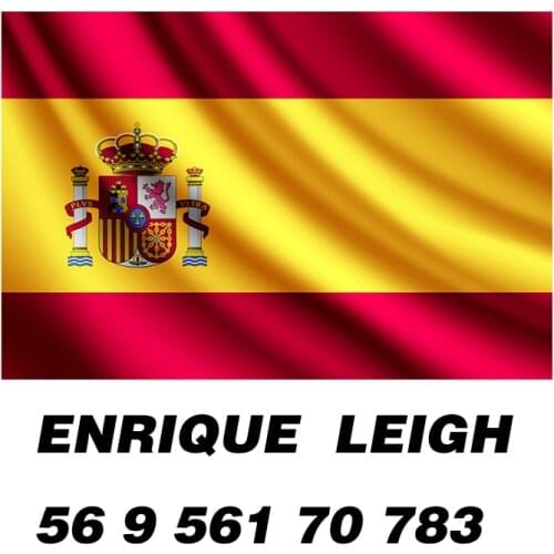 Enrique Leigh customized stickers, car glass door bumper stickers, waterproof decals