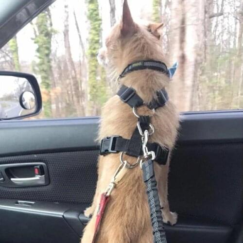 JEA·LOVE Dog Harness