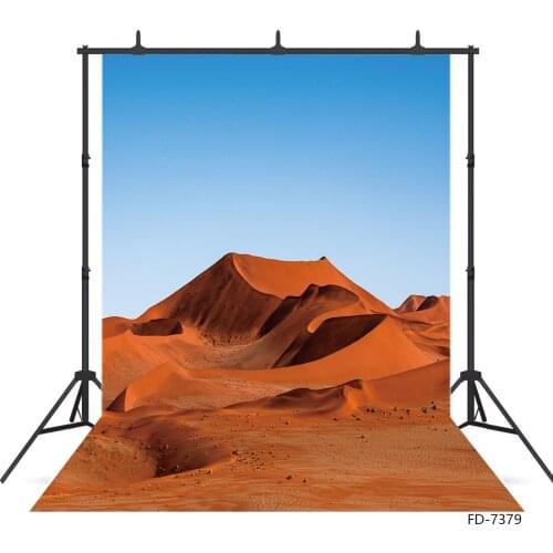 Vinyl Cloth Photography Backdrops for Photo Studio Orange Desert Photographic Backgrounds Children Portrait Photocall Photozone