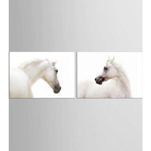 2 Panel Modern Minimalist White Animal Horse Head Photo Huge Art Print Wall Picture Canvas Painting Home Deco