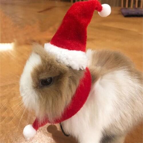 Bearded Dragon Lizard Santa Hat with Elastic Chin Strap+Scarf+Traction Rope Christmas Costume Set Xmas Reptile Apparel