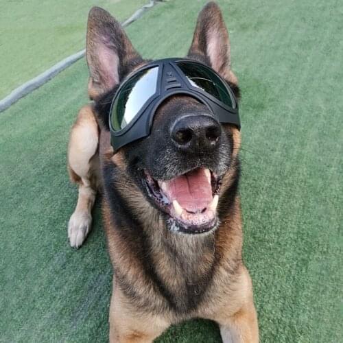 Pet Dog Sunglasses Medium Large Dog Pet Glasses Pet Eyewear Windproof Dog UV Protection Goggles Skating Sunglasses Pet Accessori