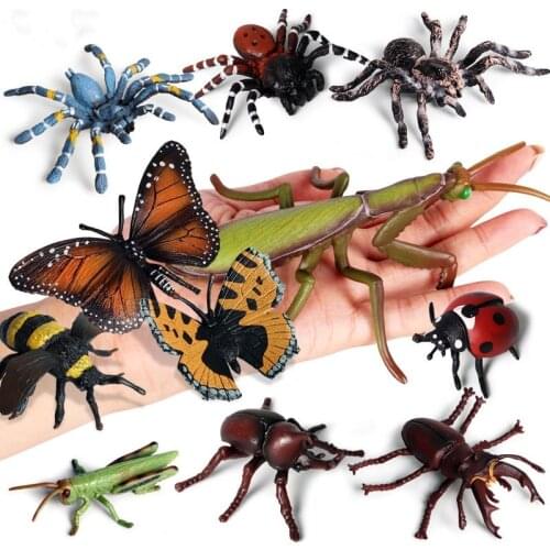 Realistic Insects Figures Lifelike Animal Figurines Toys Insect Ant Longicorn Lizard Beetle Model Educational Learning Toys