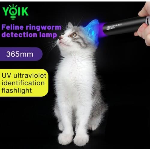 UV Flashlight with Power Bank 365Nm Purple Light Fluorescent Agent Detection Lamp SOS Currency Detector Lamp Usb Cat Moss Lamp